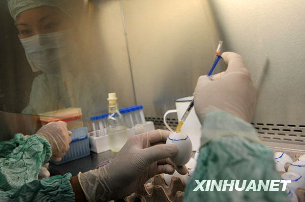 Researchers inoculate the virus strains of the influenza A/H1NI to the chicken embryo at a lab of the Wuhan Institute of Biological Products in Wuhan, central China's Hubei Province, June 17, 2009. [Zhou Chao/Xinhua]