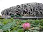 Beijing Olympics income exceeds 1 bln yuan