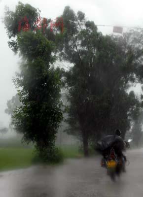 Linfa, the third tropical storm for this year, landed in east China's Fujian Province Sunday evening. 