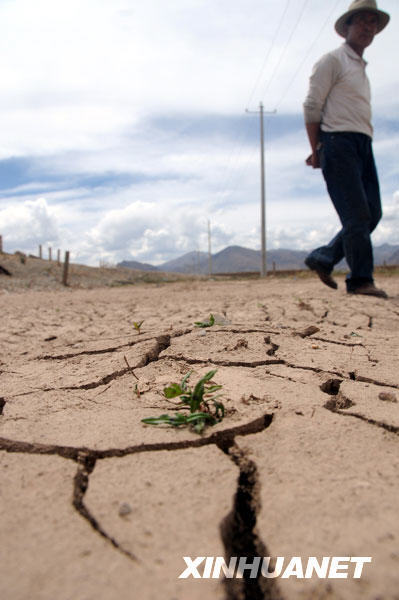 Tibet Autonomous Region is hit by severe drought, the worst in 30 years, which has affected 33,627 hectares of cropland, 8,313 hectare of forests and 2,027 ha of grassland.