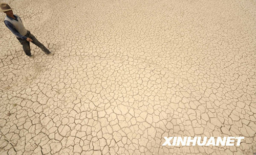 Tibet Autonomous Region is hit by severe drought, the worst in 30 years, which has affected 33,627 hectares of cropland, 8,313 hectare of forests and 2,027 ha of grassland.