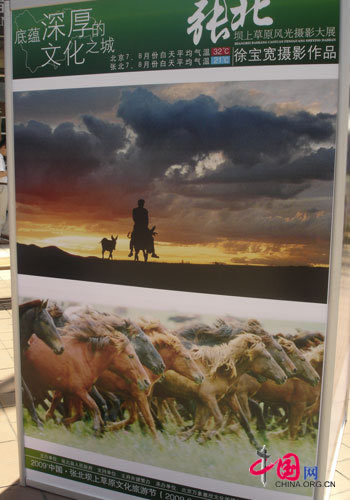 Mongolian horses