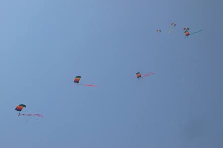 Parachuters perform style jumping at the opening ceremony of an invitational skydiving competition in Kaifeng, central China's Henan Province, June 25, 2009. [Li Junsheng/Xinhua]