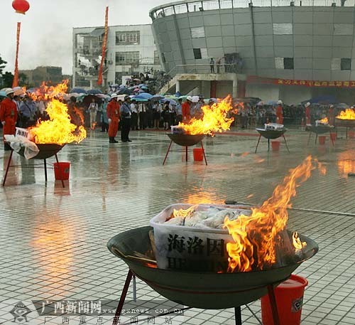 More than 700 kg of drugs were burned in China's Guangxi Zhuang Autonomous Region on the international anti-drug day Friday. 