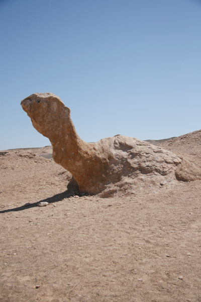 Located 90 km east of Hami city, scattered a vast land of the famous Yadan landscape. The boundless turtle-shell land appear in various shapes - ancient castles, palaces, streets, lanes, animals, and monsters. As night falls, this area is full of an atmosphere of austere gloominess with whistling wind that carries sand and drives stones. 