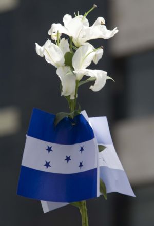 Supporters of Honduras' post-coup leader Roberto Micheletti holding flowers and national flags take part in a rally in a public park in Tegucigalpa, capital of Honduras, June 30, 2009. Thousands of supporters of the interim President Roberto Micheletti joined anti-Zelaya rally here on Tuesday protesting against the change of the institutions and the return of ousted President Zelaya. (Xinhua/David De La Paz)