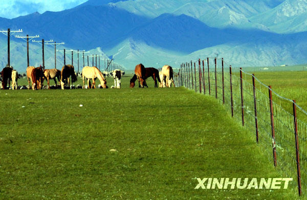 This picture taken on June 25 shows the vast grassland of Bayinbuluke, a national nature reserve in Xinjiang Uygur Autonomous Region. The Bayinbuluke grassland is the biggest highland grass plain in China. In recent years, the Chinese government invested 150 million yuan to preserve the area from being destroyed by local herdsmen who used it for pasture. The resulting system of rotational grazing has largely improved the quality of the grassland. [Photo:Xinhuanet]