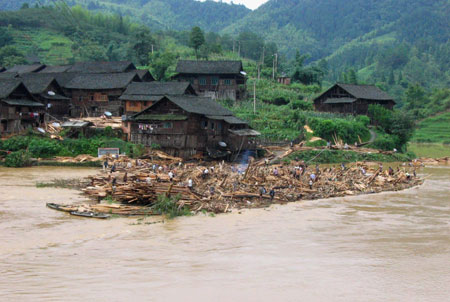 Villagers collect wood in the flood in Gaoji Village in Sanjiang County in southwest China's Guangxi Zhuang Autonomous Region, July 2, 2009. A heavy storm hit Gaoji Village, Heping Village, Danzhou Village etc. in Sanjiang County from Wednesday night to Thursday morning, which caused floods in these areas. The rescuing work was undergoing. [Li Shuhou/Xinhua]