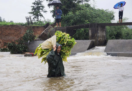 Fan Guangrong, a villager of Tongjiang Village, carring packed flue-cured tobacco, walks across a river as the bridge is damaged by the flood in Le'an County of east China's Jiangxi Province, July 2, 2009. A storm hit Le'an County from Wednesday to Thursday. [Xinhua]