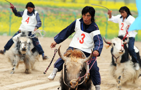 Riders compete during a yak race at the Fourth Minority Traditional Sports Game in Haibei, northwest China's Qinghai Province, July 6, 2009. [Xinhua]