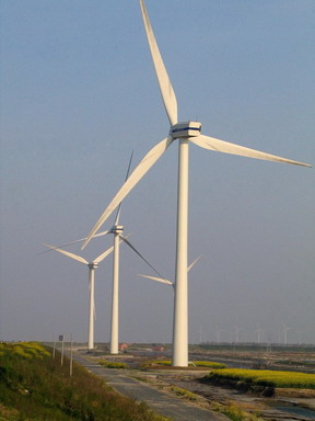 A wind farm in Jiangsu province. China plans to build seven wind power bases with a minimum capacity of 10 gW each by 2020. [China Daily]