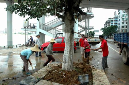 The gardeners replant the street trees along the Liujiang River after the flood receded in Liuzhou City of southwest China's Guangxi Zhuang Autonomous Region, July 7, 2009. The flood passing through Liujiang River receded on July 6 and local people began to clean the city and restore the basic facilities. [Lai Liusheng/Xinhua]