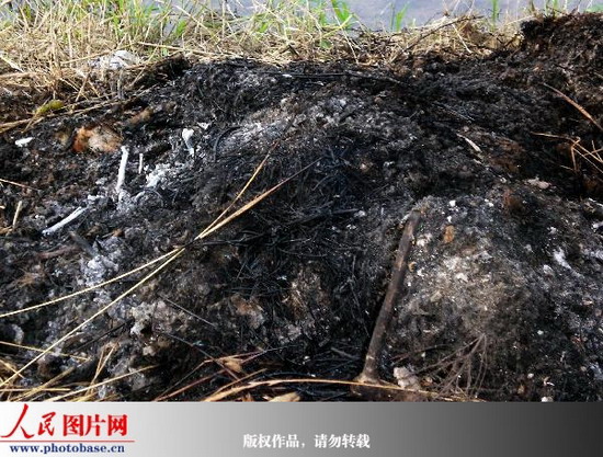 Some dead chickens are incinerated after a huge number of chickens were found dead on two chicken farms near an industrial park in Binhai County, in east China's Jiangsu Province as of Tuesday, July 7, 2009. [Photo: photobase.cn]