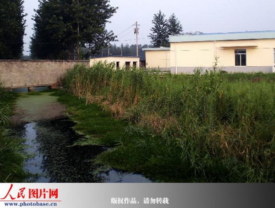 Waste water discharged from a nearby electric appliances factory flows to croplands outside the factory in the photo published on Wednesday, July 8, 2009. [Photo: photobase.cn]