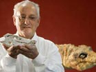 Crocodile fossil found in Brazil