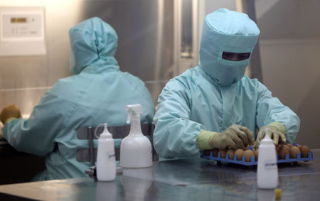 Scientists work on developing the H1N1 (Influenza A) vaccine inside a Bio-safety Level 3 (BSL-3) lab at Sillapakorn University on the outskirts of Bangkok July 12, 2009.[Xinhua/Reuters]