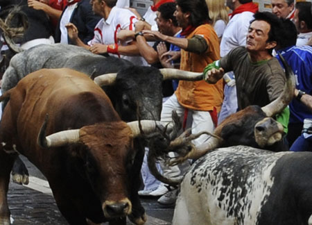 An unidentified runner (R) falls after being gored in the neck in front of Miura bulls on the sixth day of the running of the bulls at the San Fermin festival in Pamplona July 12, 2009. At least two runners were severely injured in the run that lasted over five minutes, according to the government of Navarra press office.[Xinhua/Reuters]