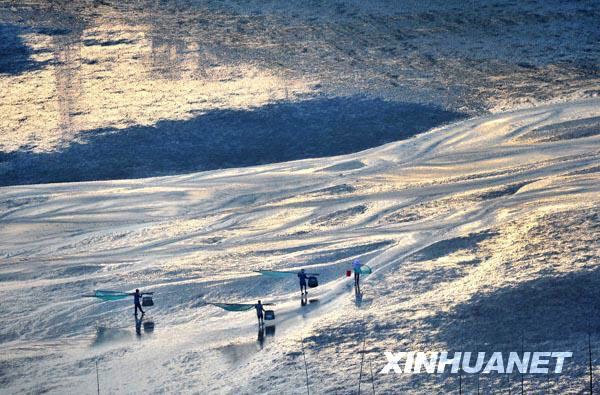 Fisherfolk collect fish and shells after the tide has ebbed in the morning.[Photo: Xinhuanet.com] 