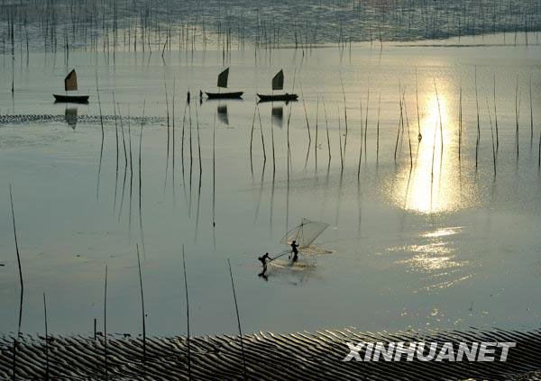Fisherfolk work on the tidal flat of Xiapu in Fujian Province.[Photo: Xinhuanet.com]