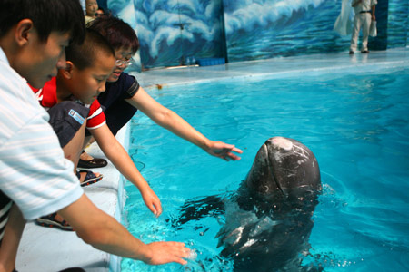 An autistic boy reaches the dolphin in the Ocean World of Ningbo, east China's Zhejiang Province, July 15, 2009. [Zhang Peijian/Xinhua] 
