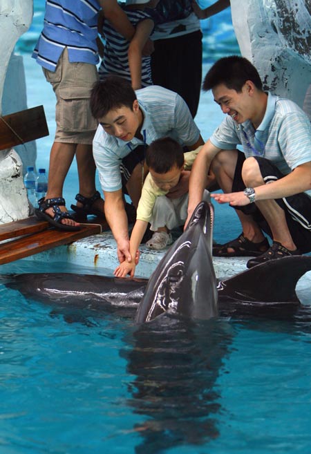 An autistic boy reaches the dolphin in the Ocean World of Ningbo, east China's Zhejiang Province, July 15, 2009. [Zhang Peijian/Xinhua]