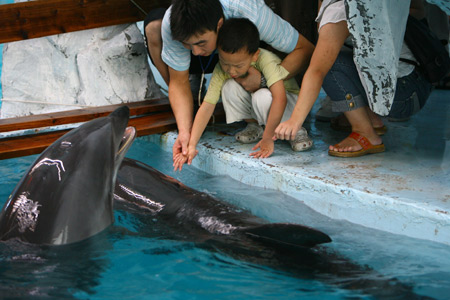 Autistic children touch dolphins in the Ocean World of Ningbo, east China's Zhejiang Province, July 15, 2009. A 'Dating Little Dolphin' programme started in the Ocean World of Ningbo on Wednesday. Six autistic children received free psychological treatment with the company of dolphins. [Zhang Peijian/Xinhua]