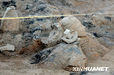 Archeologists have found up to 100 terracotta warriors and an army officer at the world heritage site in Xi'an, northwest China's Shaanxi Province, a month after they began a third excavation of the site.  