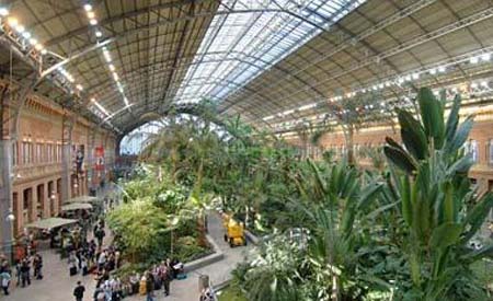 Tropical travel: Atocha station is a green oasis