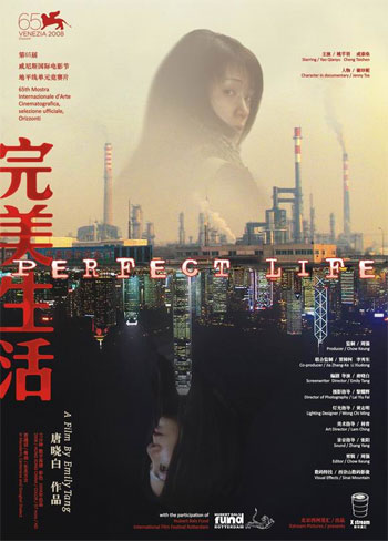 A poster of 'Perfect Life'