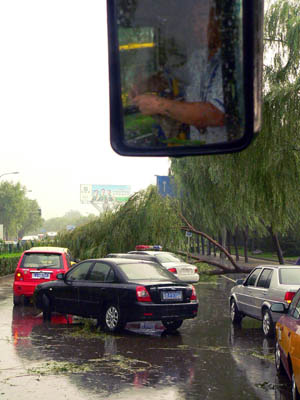 Vehicles queue up to pass by a tree broken by strong wind in a heavy rainfall as the traffic is blocked on a road in Beijing, capital of China, July 22, 2009. A heavy rainfall hit China's capital city Wednesday evening. 