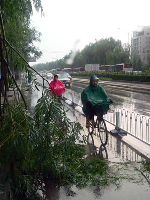 Chinese people cycle past tree branches broken by strong wind in a heavy rainfall on a road in Beijing, capital of China, July 22, 2009. A heavy rainfall hit China's capital city Wednesday evening. 