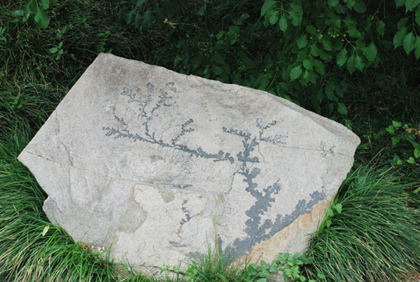 A piece of Taohua stone, a rock with natural pattern like peach blossom is photographed in Taohua Island, east China's Zhejiang Province on July 23, 2009. Taohua Island, literally the Peach Blossom Island got its name from the unique stone found in the island. [Photo: CRIENGLISH.com] 