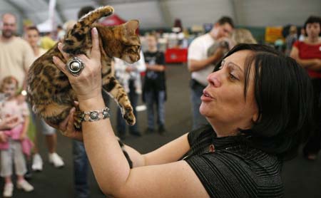 A member of the jury checks a cat during a two-day international cat exhibition in Prague July 25, 2009.