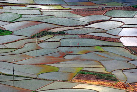 Photo taken on July 27, 2009 shows the beautiful scenery of paddy fields in Shaoping County, southwest China's Guangxi Zhuang Autonomous Region.[Yu Xiangquan/Xinhua]