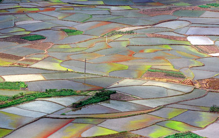 Photo taken on July 27, 2009 shows the beautiful scenery of paddy fields in Shaoping County, southwest China's Guangxi Zhuang Autonomous Region.[Yu Xiangquan/Xinhua]