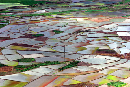 Photo taken on July 27, 2009 shows the beautiful scenery of paddy fields in Shaoping County, southwest China's Guangxi Zhuang Autonomous Region.[Yu Xiangquan/Xinhua]