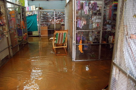 A department store is flooded in Miyi County, Panzhihua City, southwest China's Sichuan Province Monday July 27, 2009. [Xinhua]