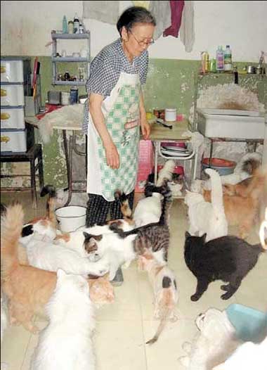 Ding Shiying, 81, feeds the cats at home in Beijing.