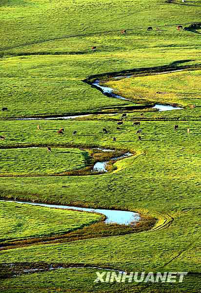A river winds across the Wulanmaodu grassland like a necklace shining under the sun in a photo taken on July 25, 2009. [Photo: Xinhuanet] 