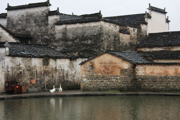  First glimpse of Hongcun village, featuring signature intensively perched Hui-style dwellings with grey tiling and white walls. Located at the foot of Mount Huangshan, the world-heritage listed scenic spot has long been regarded as one of China's most beautiful ancient villages. [Photo: CRIENGLISH.com/Guo Cong]