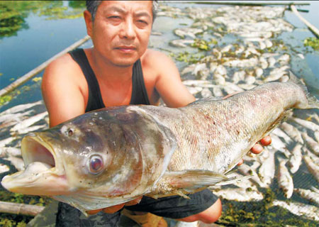A fish farmer shows a fish that died after a river in Chaohu of Anhui province was polluted last Saturday. [Bian Bo/China Daily]