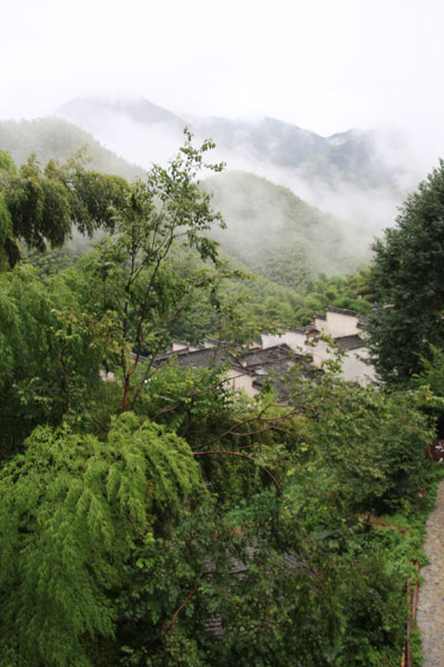 The thick bamboo forest is enveloped in mist in the village of Mukeng near Hongcun on July 29, 2009. The place is well known as the shooting location of the Oscar-winning movie 'Crouching Tiger and Hidden Dragon.' [Photo: CRIENGLISH.com]