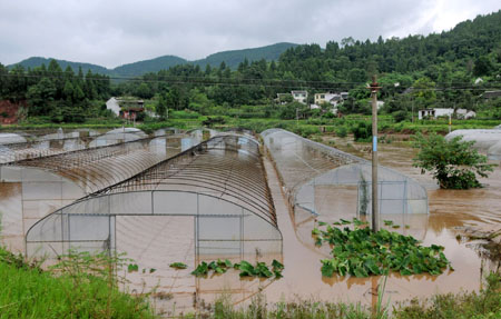 Greenhouses for vegetables were in flood in Changlin township of Xichong county, southwest China's Sichuan Province, Aug. 1, 2009. [Cheng Chaosheng/Xinhua]