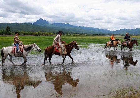Tourists ride horse in the Lashihai wetland park of Lijiang, southwest China's Yunnan Province, on July 29, 2009. Lijiang received 3.44 million tourists in the first half of 2009, earning a tourism income of 3.88 billion RMB yuan (568 million U.S. dollars). Lijiang with an 800-year history was listed by the UNESCO in 1997 as a world cultural heritage site. (Xinhua/Lin Yiguang)