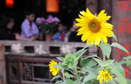 Tourists rest in a teahouse in Lijiang, southwest China's Yunnan Province, on July 27, 2009. Lijiang received 3.44 million tourists in the first half of 2009, earning a tourism income of 3.88 billion RMB yuan (568 million U.S. dollars). Lijiang with an 800-year history was listed by the UNESCO in 1997 as a world cultural heritage site. (Xinhua/Lin Yiguang)