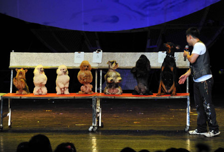 Animals perform during a 'Happy Stage' show at the Puppet Theater in Beijing, capital of China, Aug. 1, 2009. 