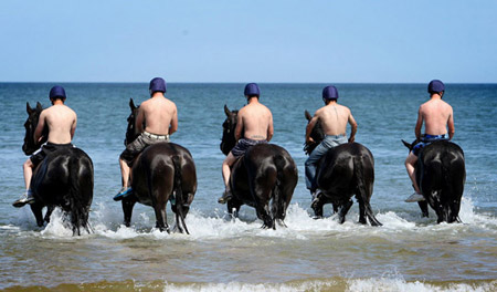 Photo shows the Household Cavalry Mounted Regiment begins its annual Regimental Training in Norfolk, England, Aug. 3, 2009 [chinanews.com.cn]