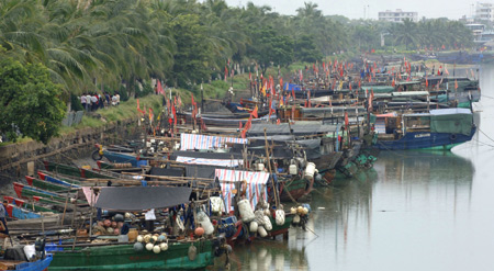 Boats are anchored in a harbor to take shelter from tropical storm in Haikou, capital of south China's Hainan Province, Aug. 4, 2009. Tropical storm Goni, formed in the Pacific near Hainan on Monday, is forecast to strike China. [Zhao Yingquan/Xinhua]