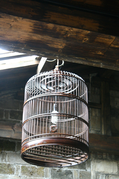 A light bulb with a birdcage hangs from the ceiling of the Zhulan Bar, an inn in Xidi village, Anhui Province. [Photo: CRIENGLISH.com]
