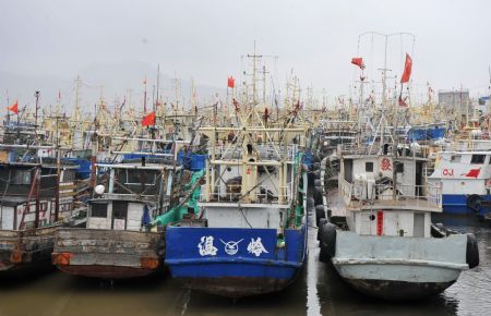 Boats are berthed in Wenling, east China's Zhejiang Province, on August 6, 2009. The eye of Typhoon Morakot was located at 840 kilometers east off Fuzhou City of southeast China's Fujian Province as of 11 a.m. Thursday. 